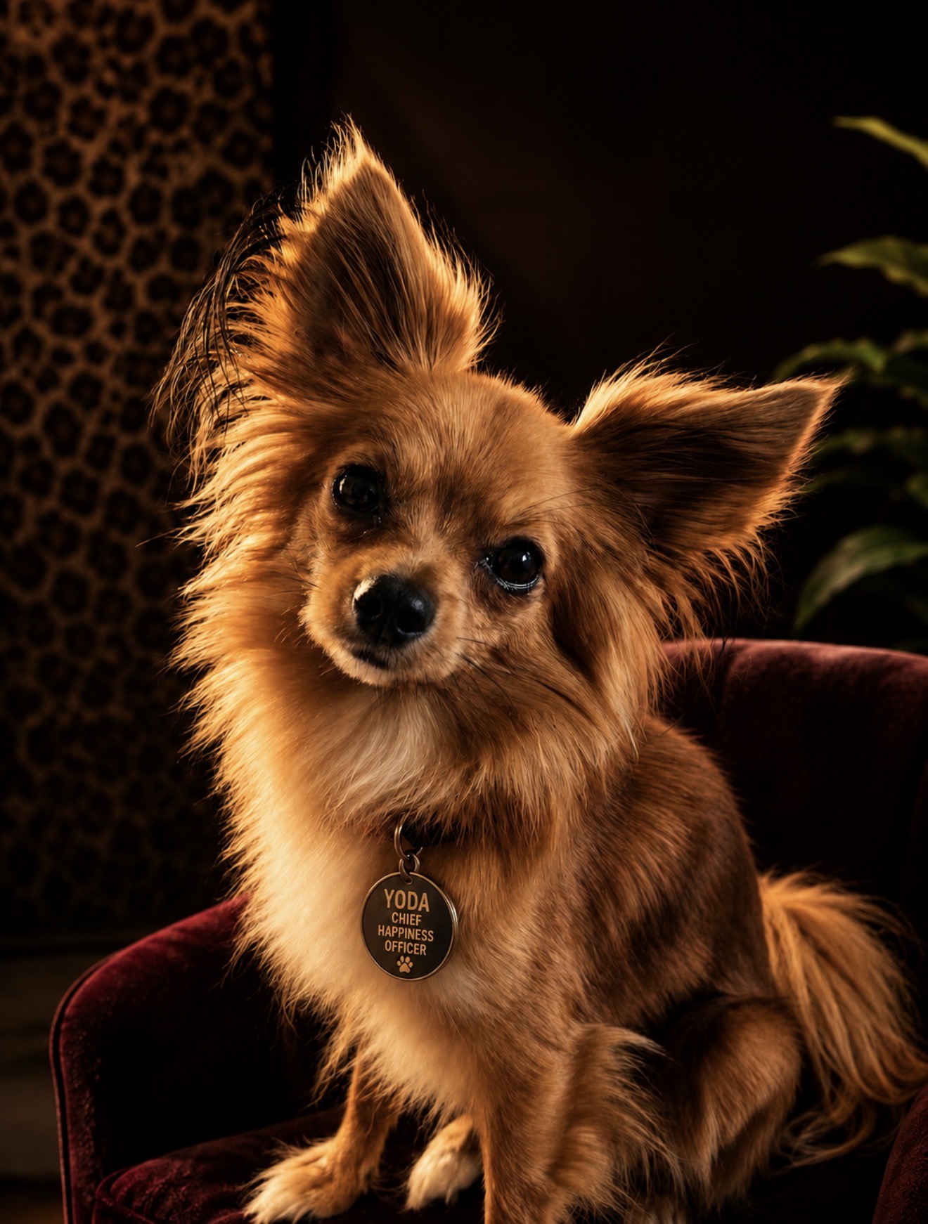 Yoda — Chief Happiness Officer